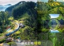91成人免费视频-91成人免费视频，网络时代的伦理与界限