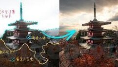 不登录不收费大象传媒-大象传媒的独特魅力，无登录，无费用，守护网络纯净