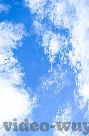 成人91麻豆-成长路上，成人世界的别样风景 —— 透过91麻豆探索成人世界的多样性