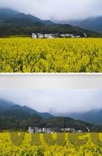 果冻传媒都有谁-探索果冻传媒的多元力量，人才汇聚的创意舞台