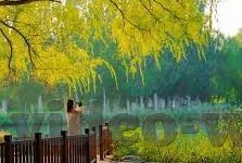 果冻文化传媒-果冻文化传媒，创意与娱乐的甜蜜交汇
