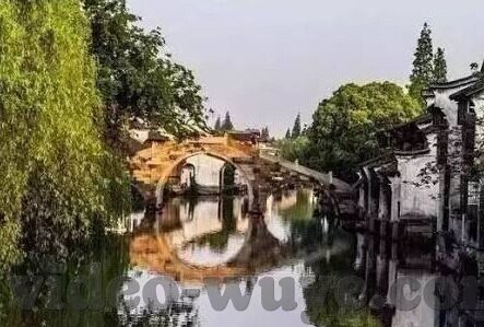 麻豆av传媒-探究麻豆AV传媒的多元影响与未来展望