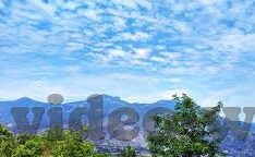 麻豆传媒,app下载-麻豆传媒——探索卓越内容的连接方式