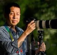 麻豆传媒在线app-互联网文化镜像，透视麻豆传媒在线APP的多元化影响