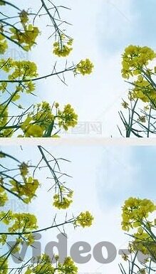 糖心app下载安装网站-体验甜美生活，糖心APP下载安装指北