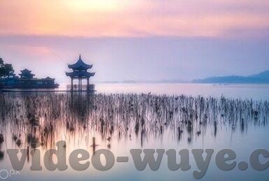 糖心vlog官网首页蜘蛛-糖心Vlog官网首页的蜘蛛丽影——网络记录的独特风景线