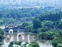 先锋影音人妻-先锋影音，人妻角色的独特魅力与艺术呈现