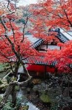 夏晴子麻豆视频-探寻真实与虚拟，从夏晴子麻豆视频现象谈网络文化的多元化与信息识别